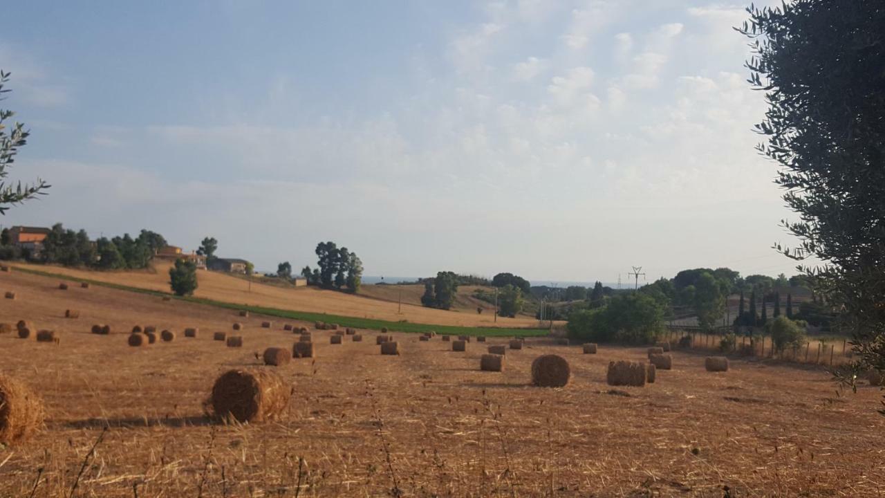 Le Casette In Collina Cerveteri Dış mekan fotoğraf